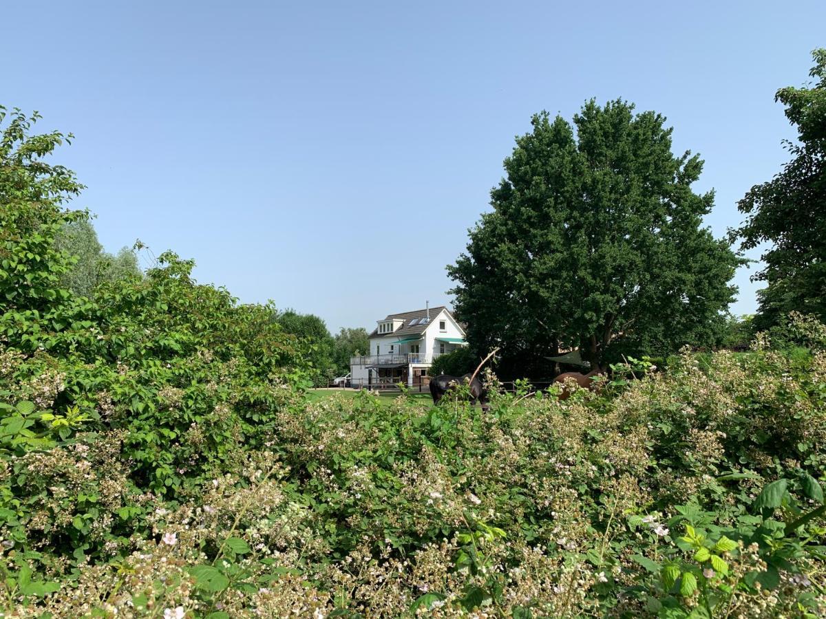 Luxury Guest House - Eik Aan De Dijk Aalst Exterior photo